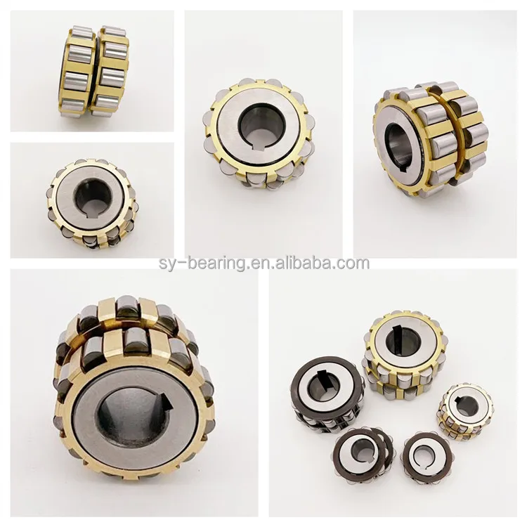 Eccentric Bearing (15)