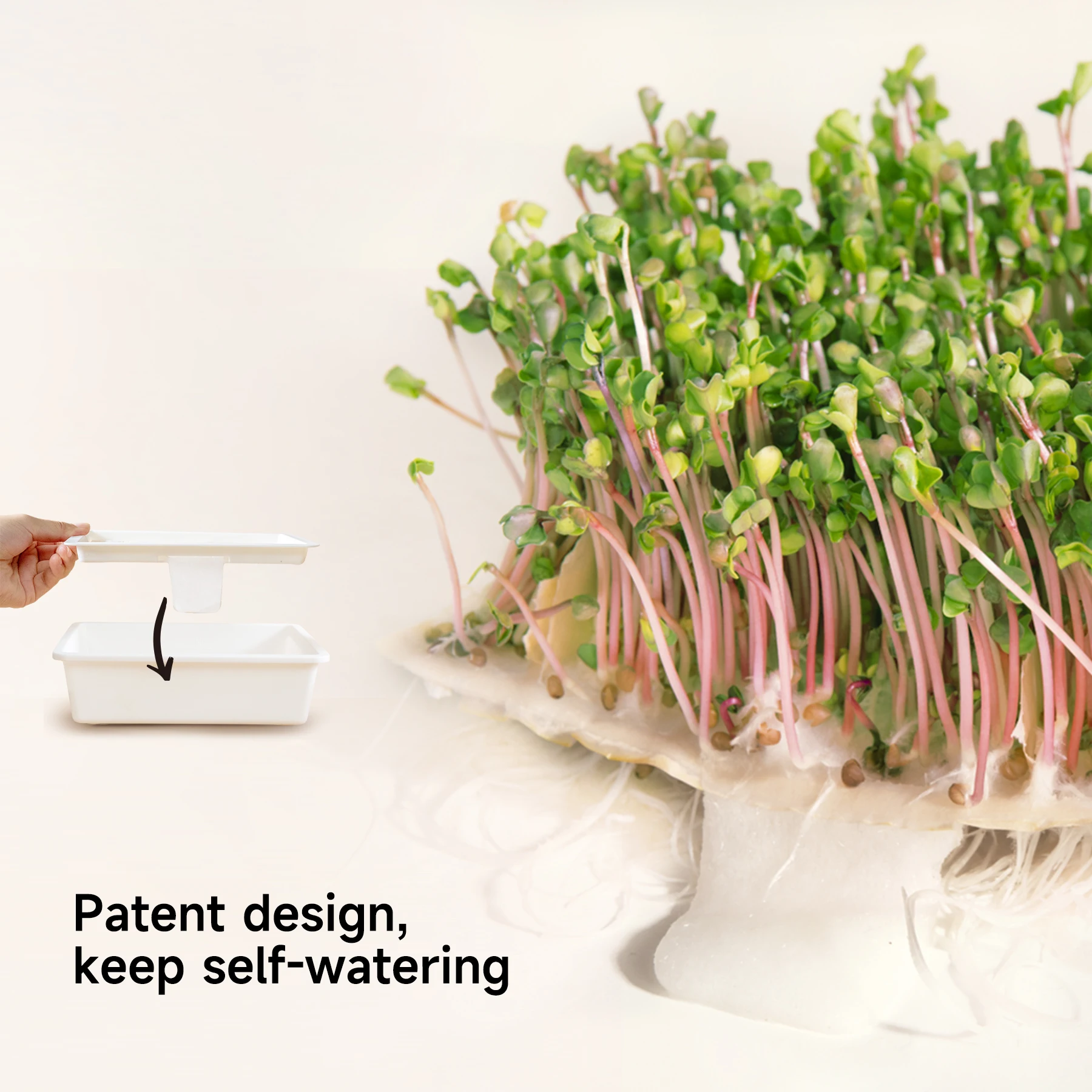 J&C Microgreens Growing Kit Organic Superfood Sprouting  Seed Sprouter Kit hydroponic Watering System microgreen grow kit