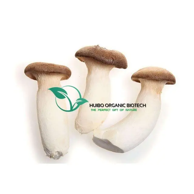 Organic shiitake mushroom /dried  Lentinus edodes whole / slices NOP EU standard
