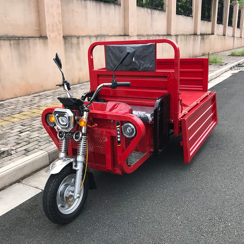 Factory Price 3-Wheel Electric Tricycle for Adults 48v Steel and Iron Motor Trike with CE Certificate for Loading