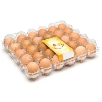 Transparent Blister Process Plastic Egg Tray Cartons With 30 Holes