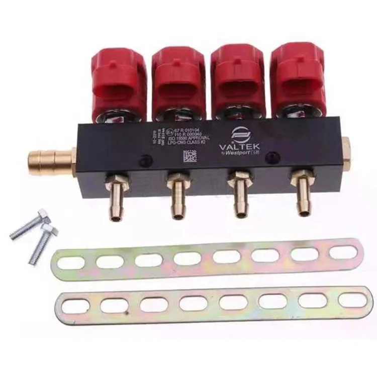 China factory LPG CNG conversion kits   rail  injector