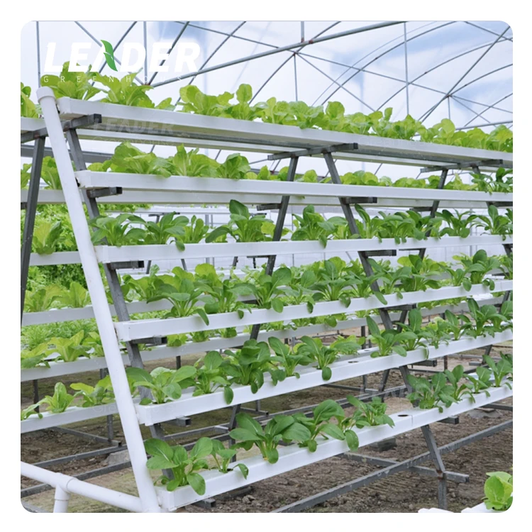 Высококачественная гидропонная NFT труба 100*50 мм для аквапонных теплиц системы выращивания растений канал пвх