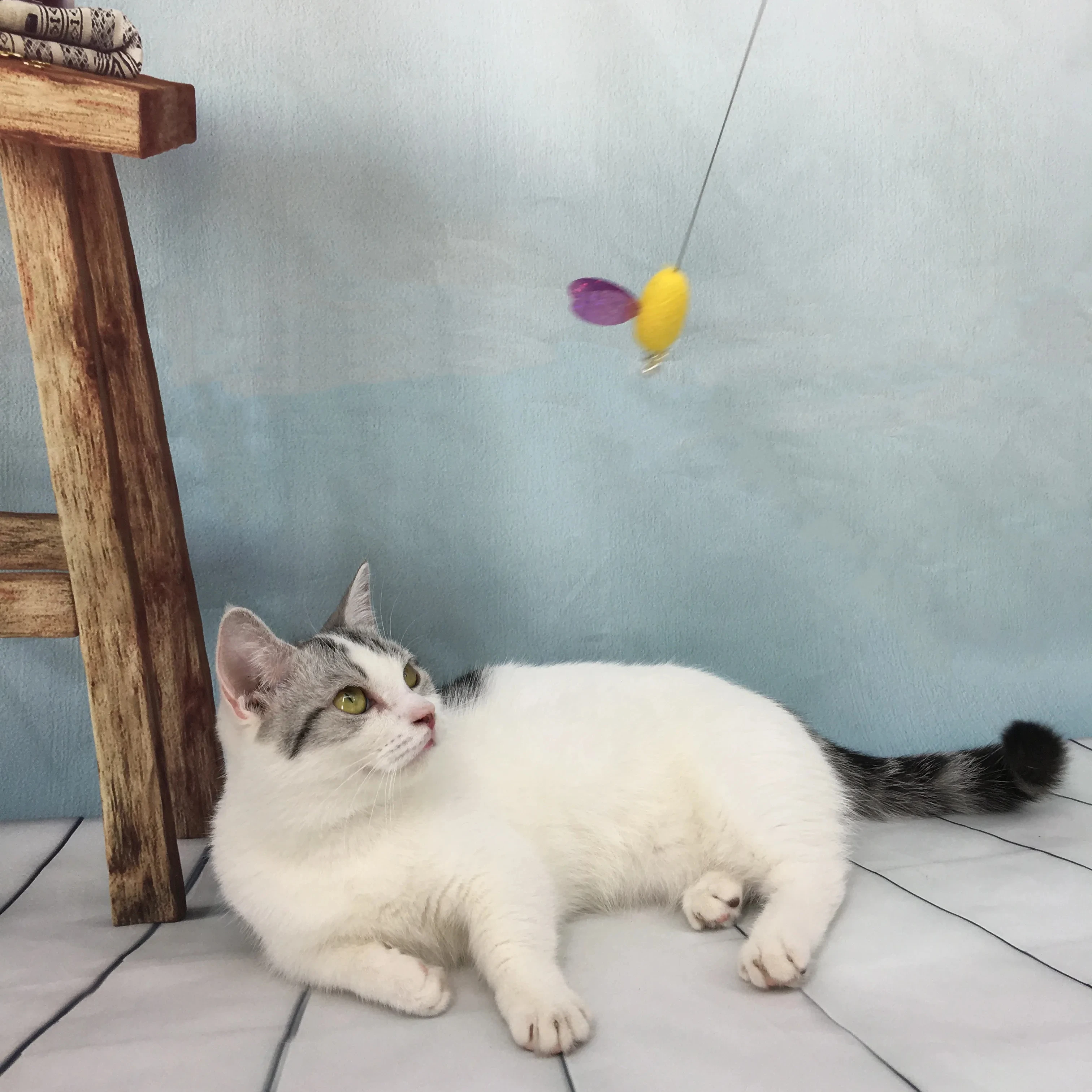 Factory Wholesale New Toy Teaser Cat Stick Wooden Handle Cocoon with Bell Long Pole Hunting Pet Cat Toys Supplies for Cats BY006