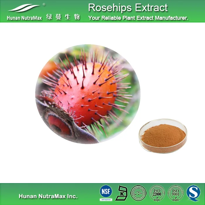 Low Moq Vitamin C Rosehip Extract Powder Rose Hip Extract Private Organic Rosehip Powder