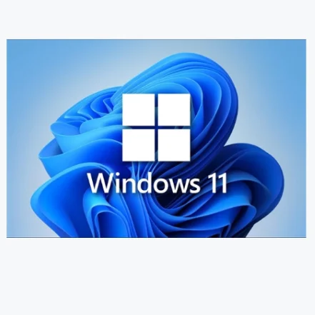 Windows 11 FPP OEM розничный цифровой лицензионный ключ DVD USB-стикер Microsoft Windows 11 Pro онлайн, используемое во всем мире программное обеспечение windows 11