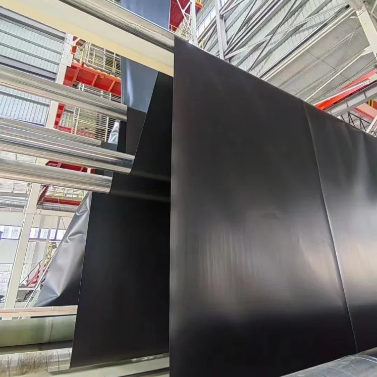 HDPE waterproof membrane Geomembrane Pond Protection Membrane Heavy Duty Pond Liner