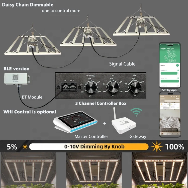 Daisy Chain 480w.jpg