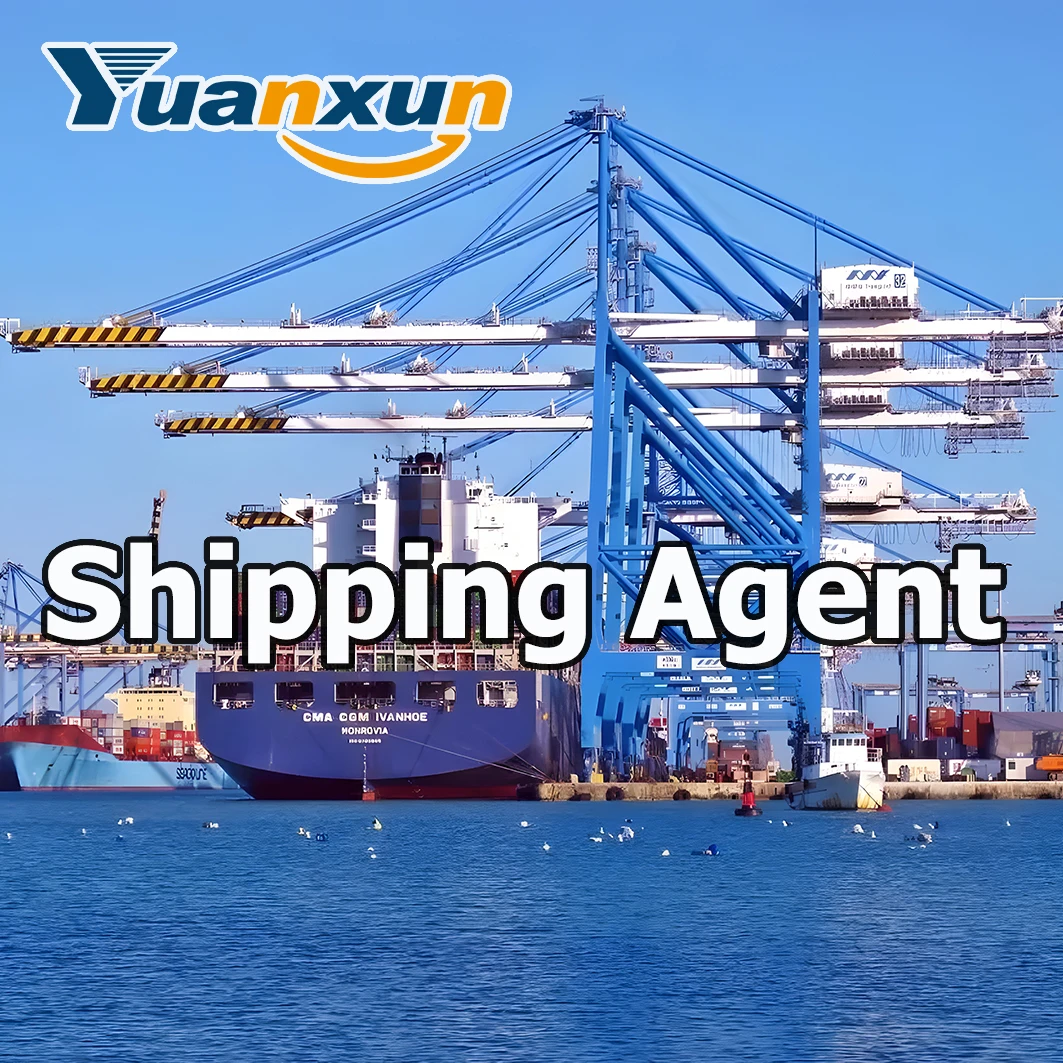 Быстрая доставка железнодорожное грузовое агентство для Spain DDP Service Agencia De Transporte Cargo Express железнодорожный агент