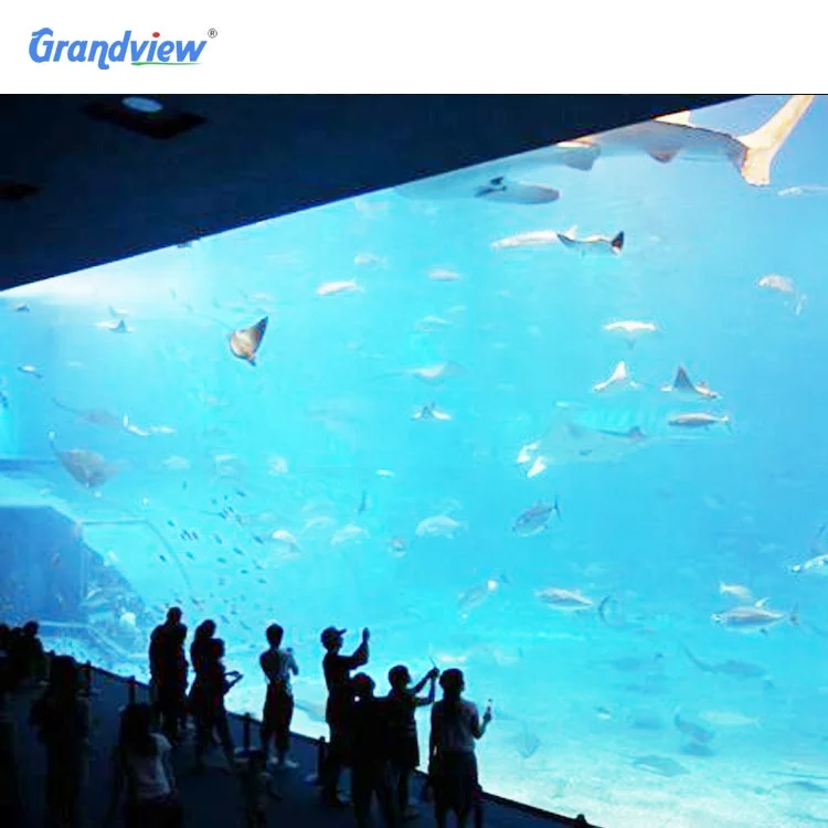 Hot-Selling High Quality Big Size Acrylic Fish Tanks for Home and Aquarium unsing