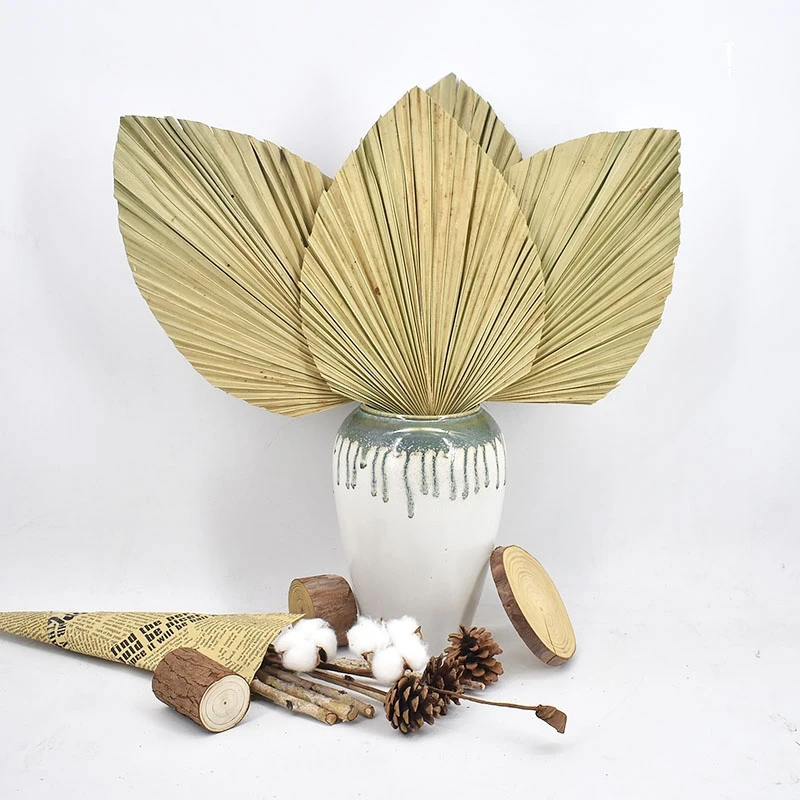 2022Hot Sale Amazon Hotsale Natural Plants Dried Palm Fan Dried Palm Leaves Wedding Decorations Boho Decor
