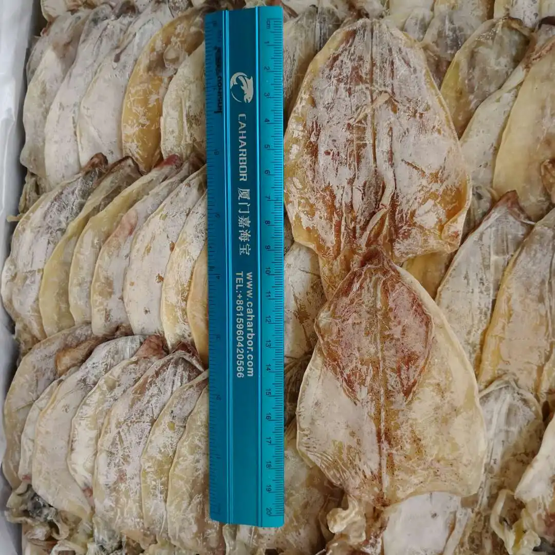 Dried Equator Squid wholesale for export Japan