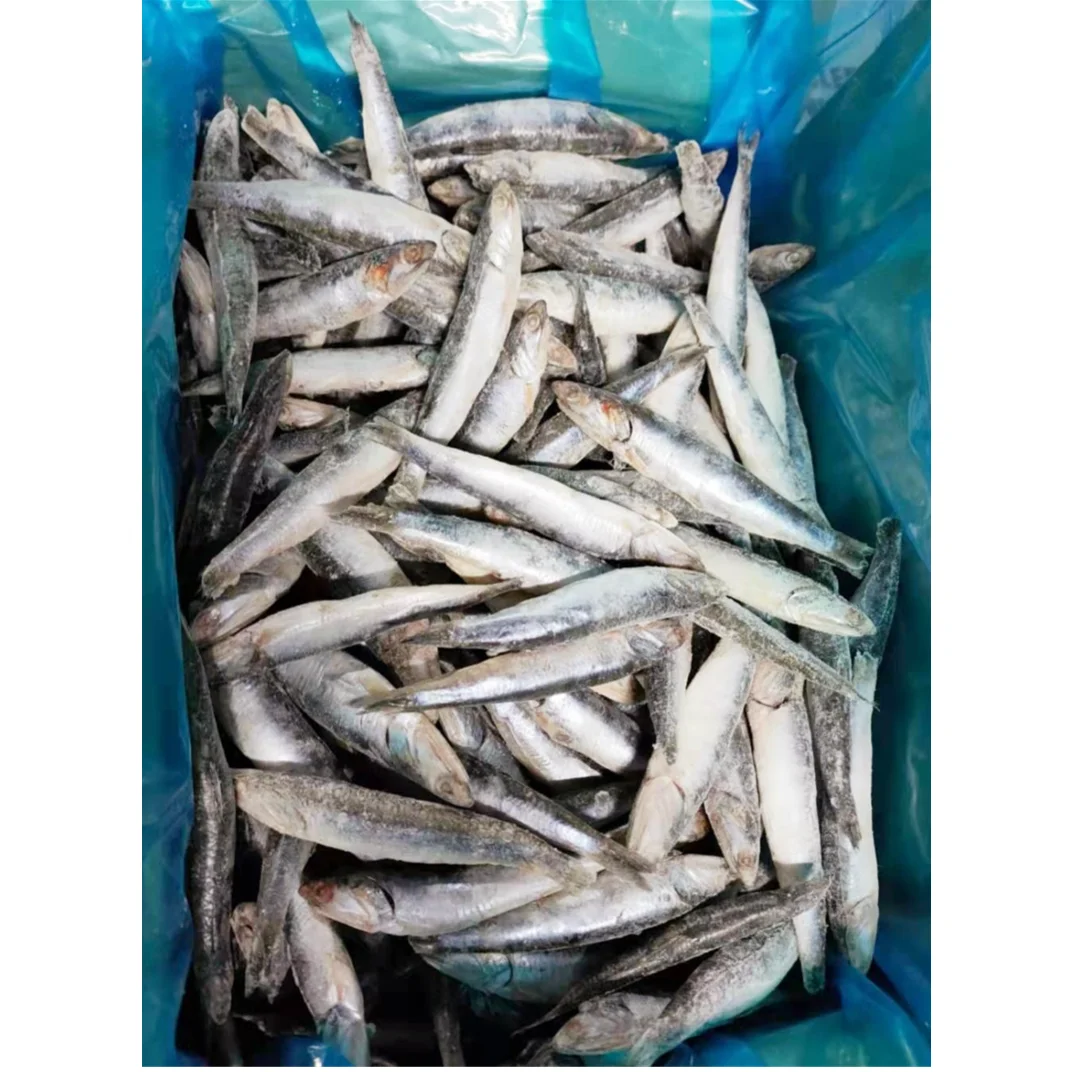 Frozen sardine OEM packing IQF for bait