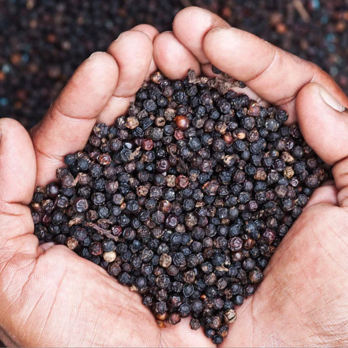 Hot Sale Whole Granules Black Pepper Spicy Spice Wholesale High Quality Dried Black Pepper