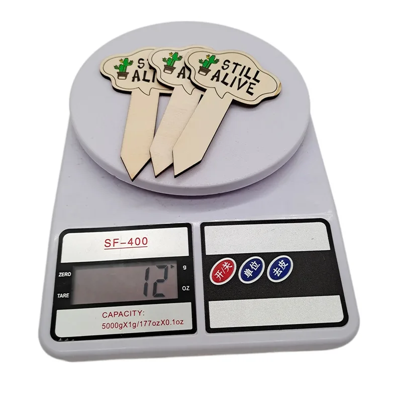 Folk Art Style Wooden Plant Markers Green Succulent Labels for Plants Plywood Decoration with Flower Theme