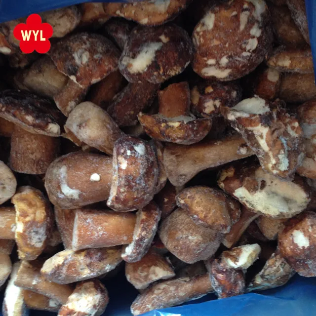 Frozen Whole Boletus Edulis Fresh Cultivated Fungus Slice Raw and Cube for Food and Health Supplements