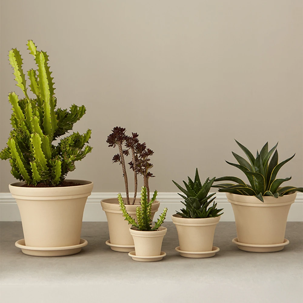 Garden grow cactus pots flowerpots for household wholesale