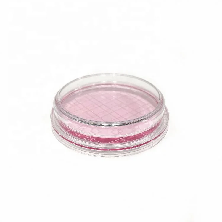 Laboratory Plastic Petri Dishes 75mm in Petri Dish Stand Holder Agar Petri Dishes
