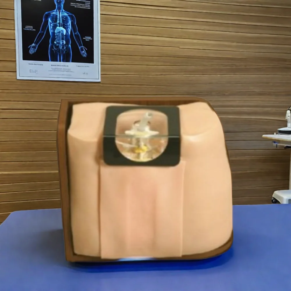 DARHMMY Medical Science Spinal Puncture Model for Clinical Practice and Punctures Training