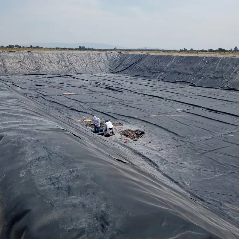0.7mm Geomembrane HDPE Biofloc Geomembranes Price hdpe dam liners