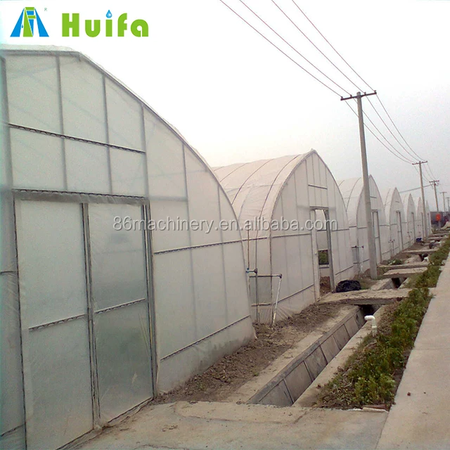 Industrial Single Span Mushroom Grow Tent Greenhouse Tunnel Polycarbon Light Dep Automatic Curtain Hydroponic Greenhouse Garden