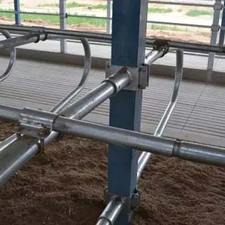 Dairy Dimensions Free Stall Barn Design Cow Calf Hutch