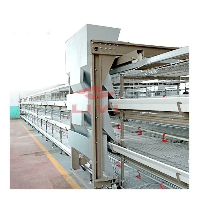 chicken equipment for sale in south Africa 30,000 layers project design layer chicken cage