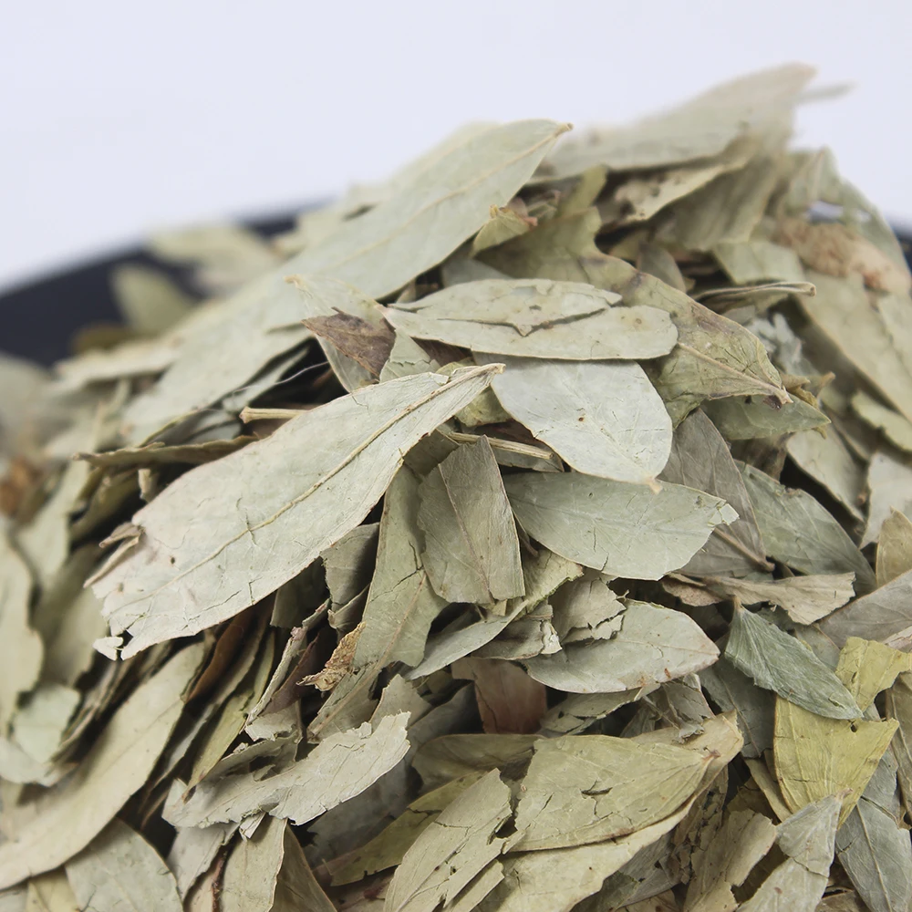 Wholesale Price High Quality Dry Senna Leaf  Stimulant Laxatives Dried Cassia Senna Leaves Senna Tea