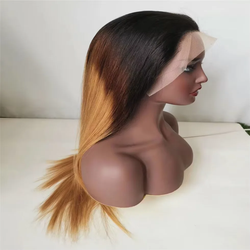 Ombre Color 5x5 Lace Closure Wigs Virgin Brazilian Straight Human Hair Wholesale Hot Selling Products Women Hair Wigs Vendors