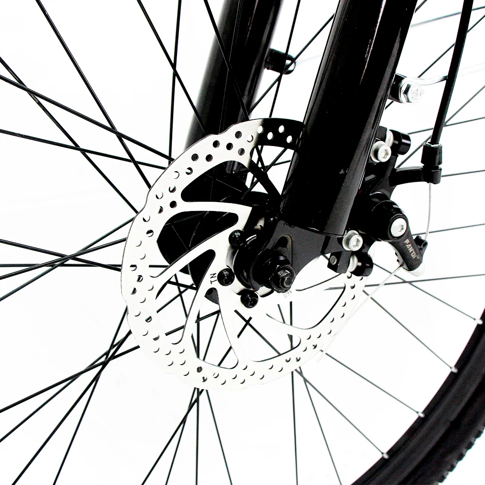 DISIYUAN Belt Drive Rad Runner Electric City Bike Electric Bicycle 26inch Old Electronic Steel Lithium Battery 48V 7 Speed 10 AH