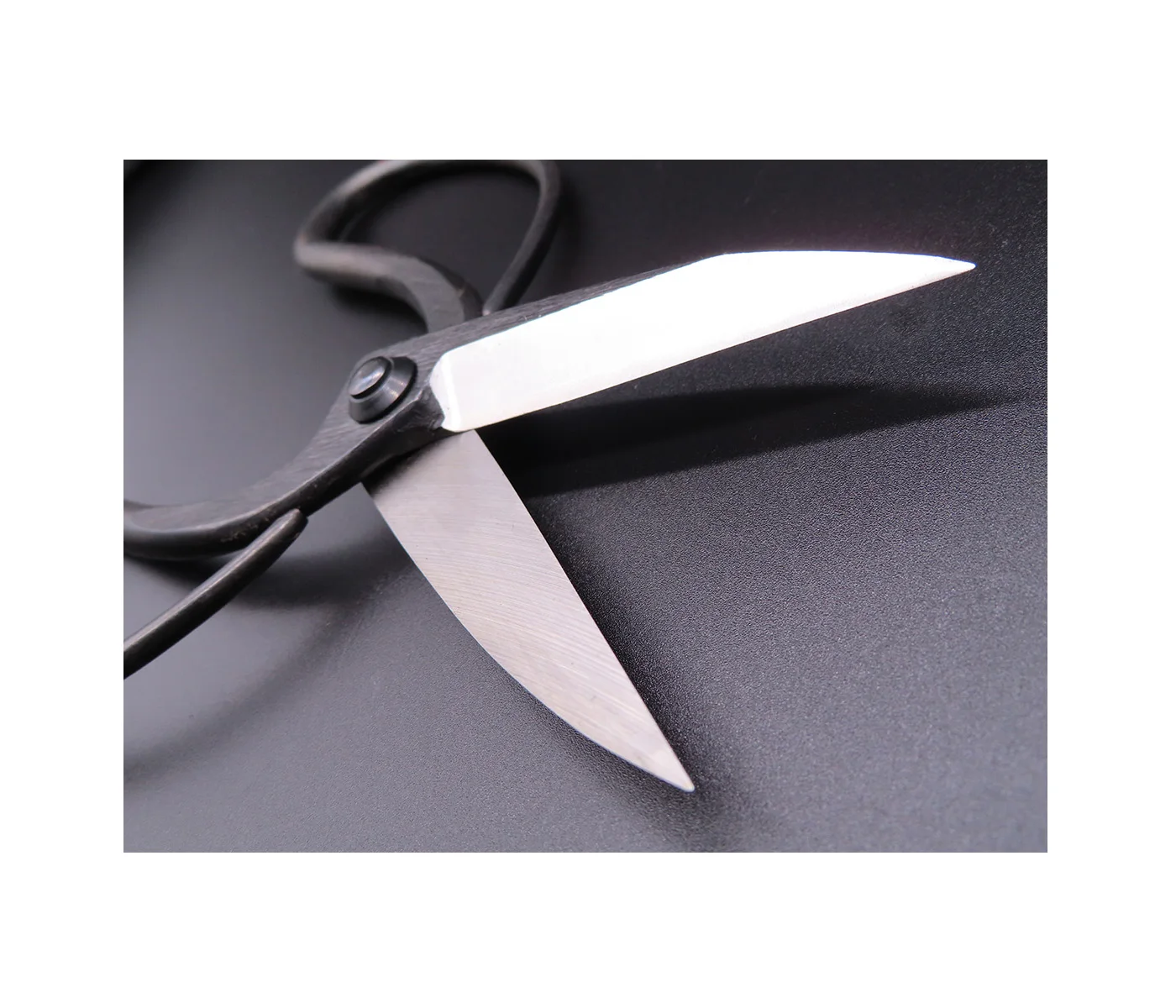 Tanabe good quality used anywhere bonsai small garden shear scissors