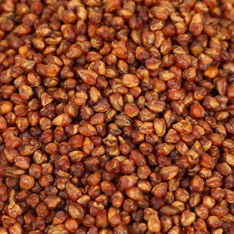 factory wholesale ku qiao dried black tartary buckwheat for healthy tea