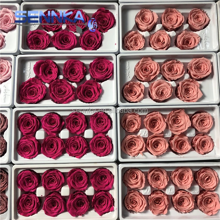 2019 best price China supplier preserved rainbow roses wholesale eternity roses for Christmas