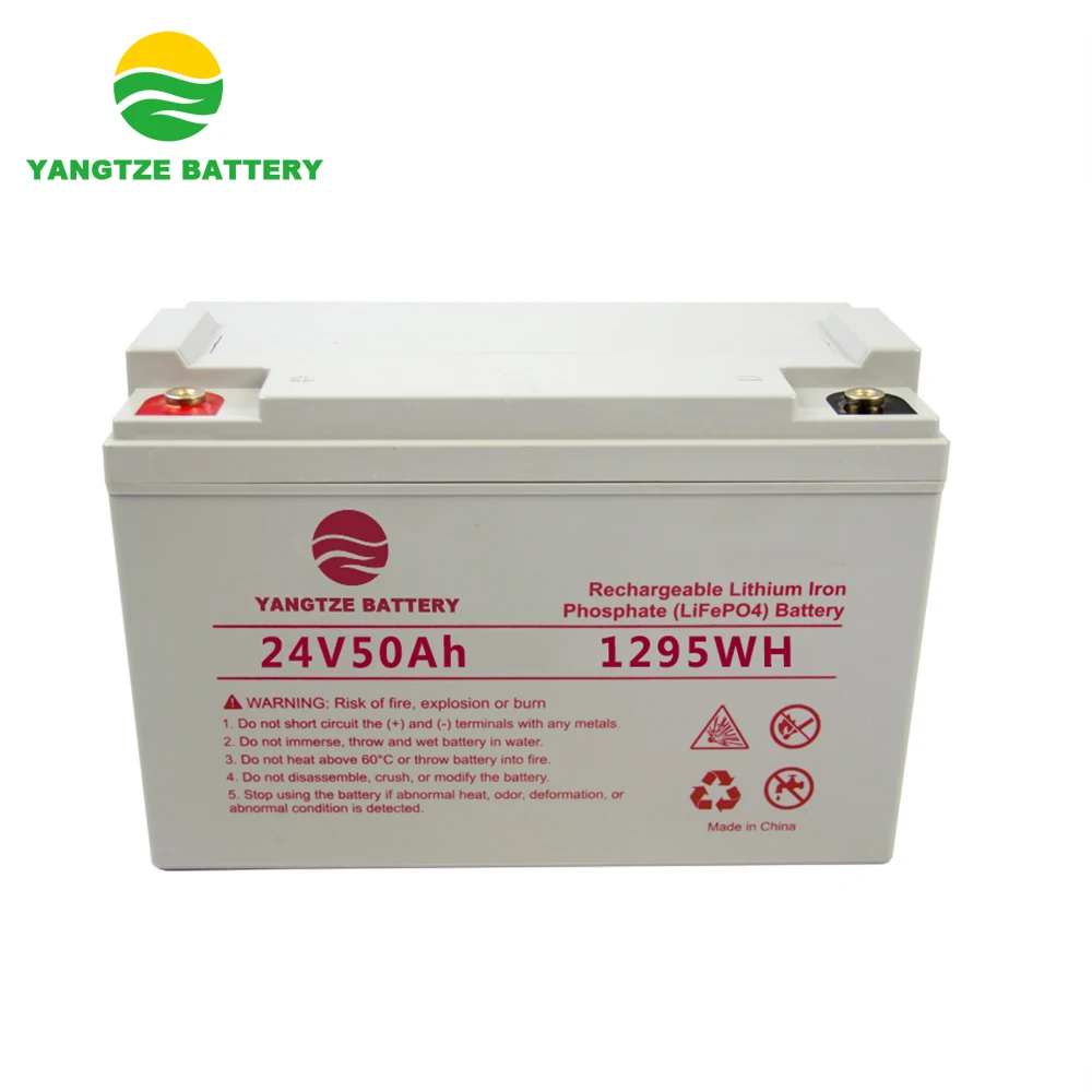 The top quality 12v 24v 48ah 50ah lithium battery for ebike