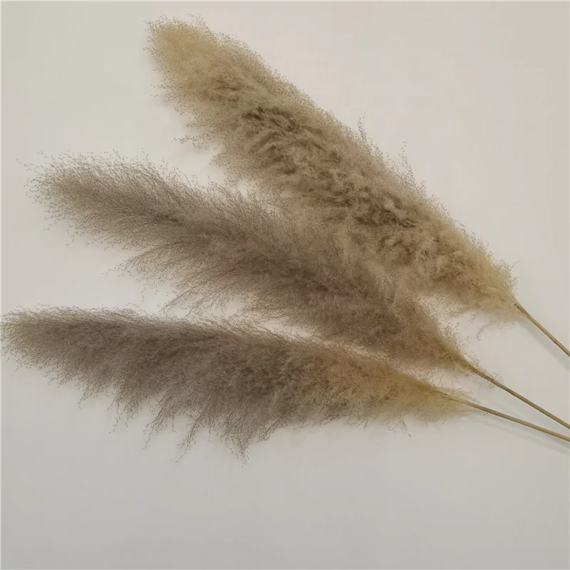 Оптовая продажа с фабрики Юньнань, большой натуральный сушеный цветок, длинный стебель, сухая пампасная трава для домашнего декора