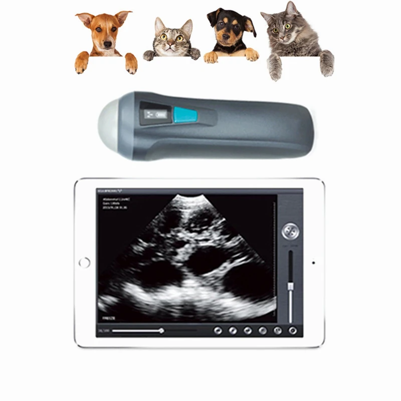 Зонд сектора ветеринарный водонепроницаемый для беременных