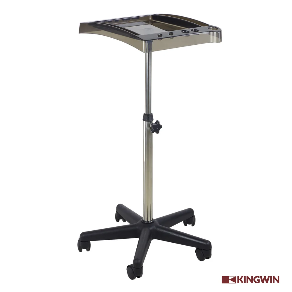 Hair Stylist Professional Salon Furniture Coloring Tool Placing Tray Cart Black Modern Beauty Salon Furniture Set Salon Trolley