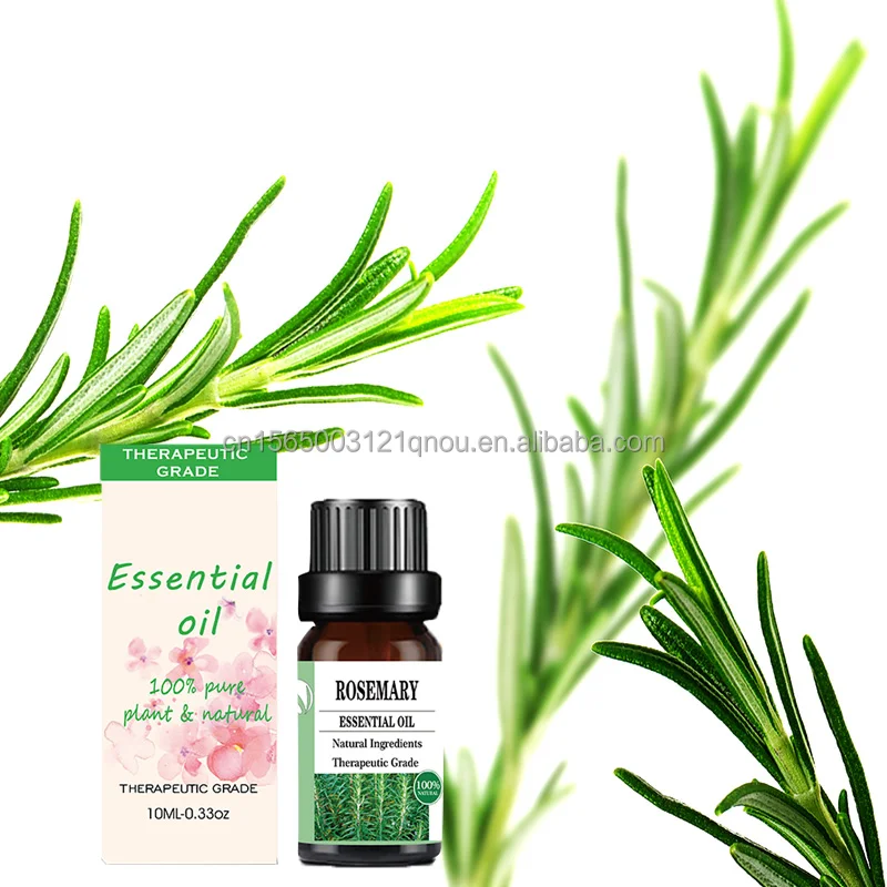 Rosemary pure essential oil manufacturer natural oil extract diffuser skin care humidifier and perfume