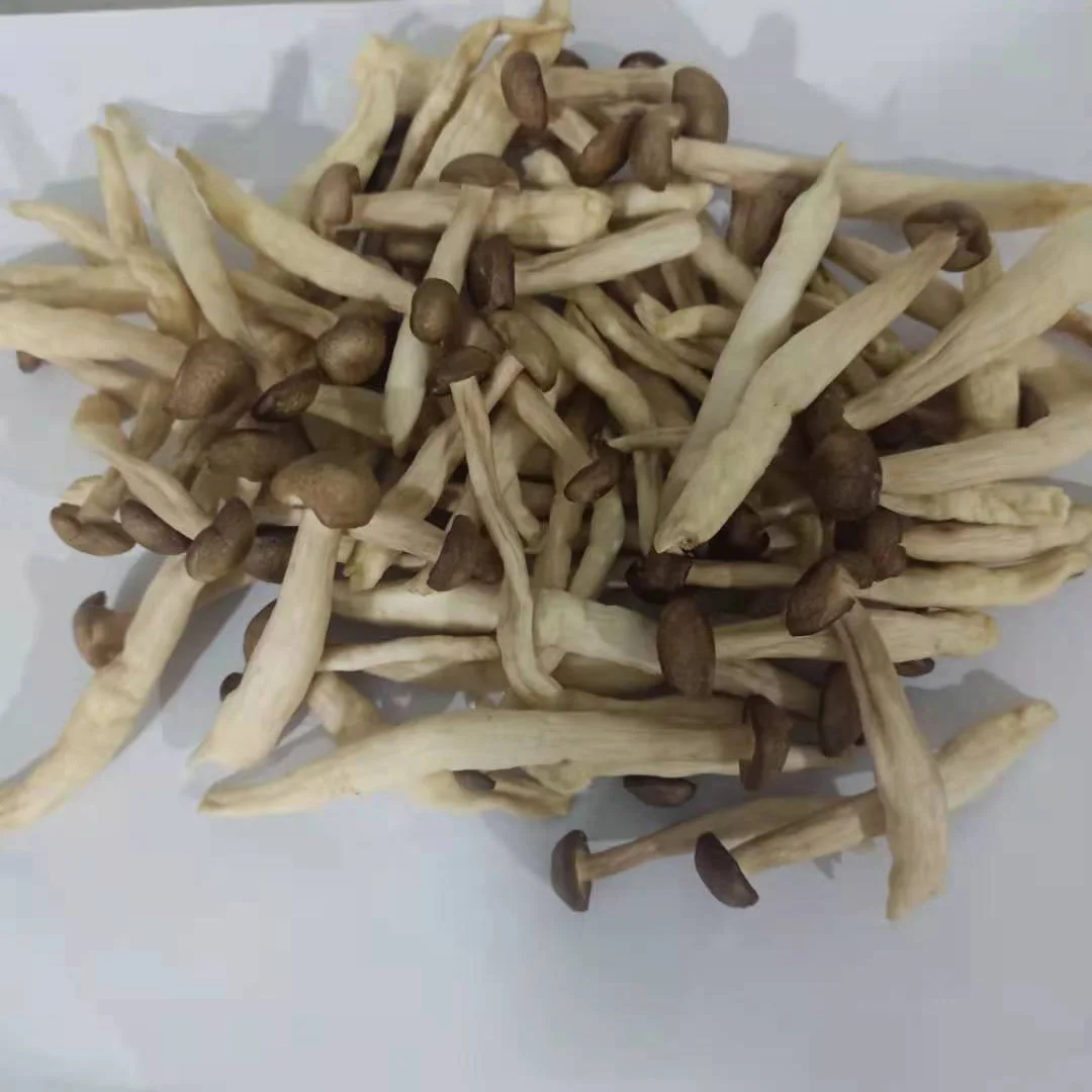 The King Of Quantity Shimeji Mushroom Chips Vacuum Fried Veggies
