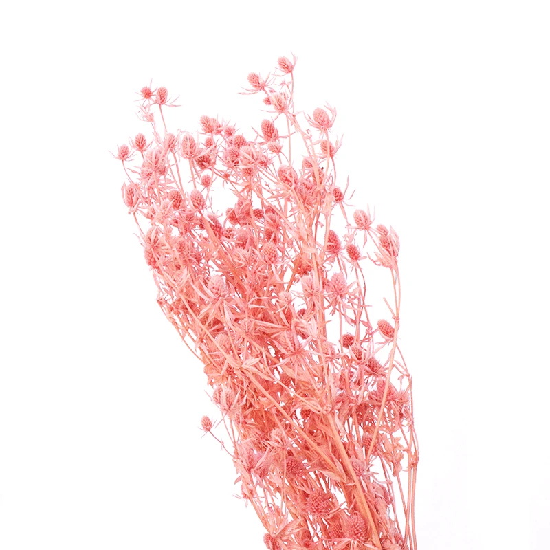 
2021 best popular long lasting flowers dried sea holly flowers in for flower arrangement 