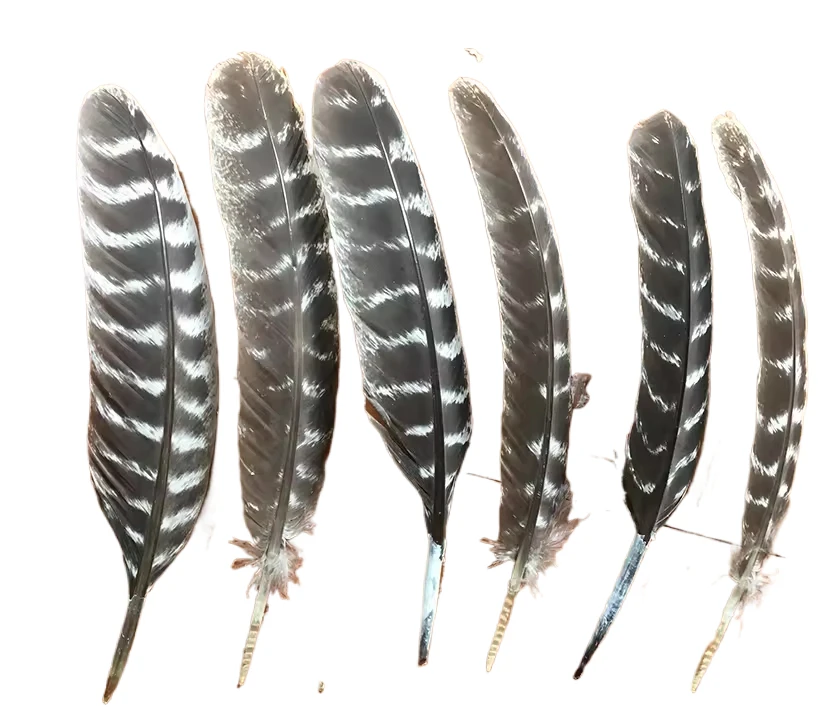 Dyed Big Colorful Quill Turkey Feather for Craft Headdress Hat Hair Cosplay Accessory Carnival Party Wedding Home Floral Decor