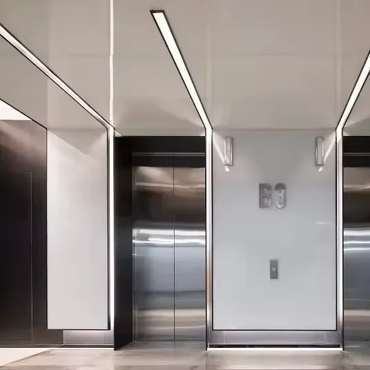 Modern Design 1000kg AC Drive Home Passenger Elevator Lift Factory High-Capacity Office Elevator for 6 Floors