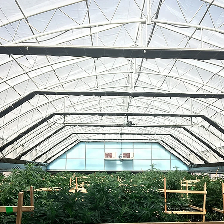  Mini tunnel greenhouse singlespan film commercial green house black out light deprivation