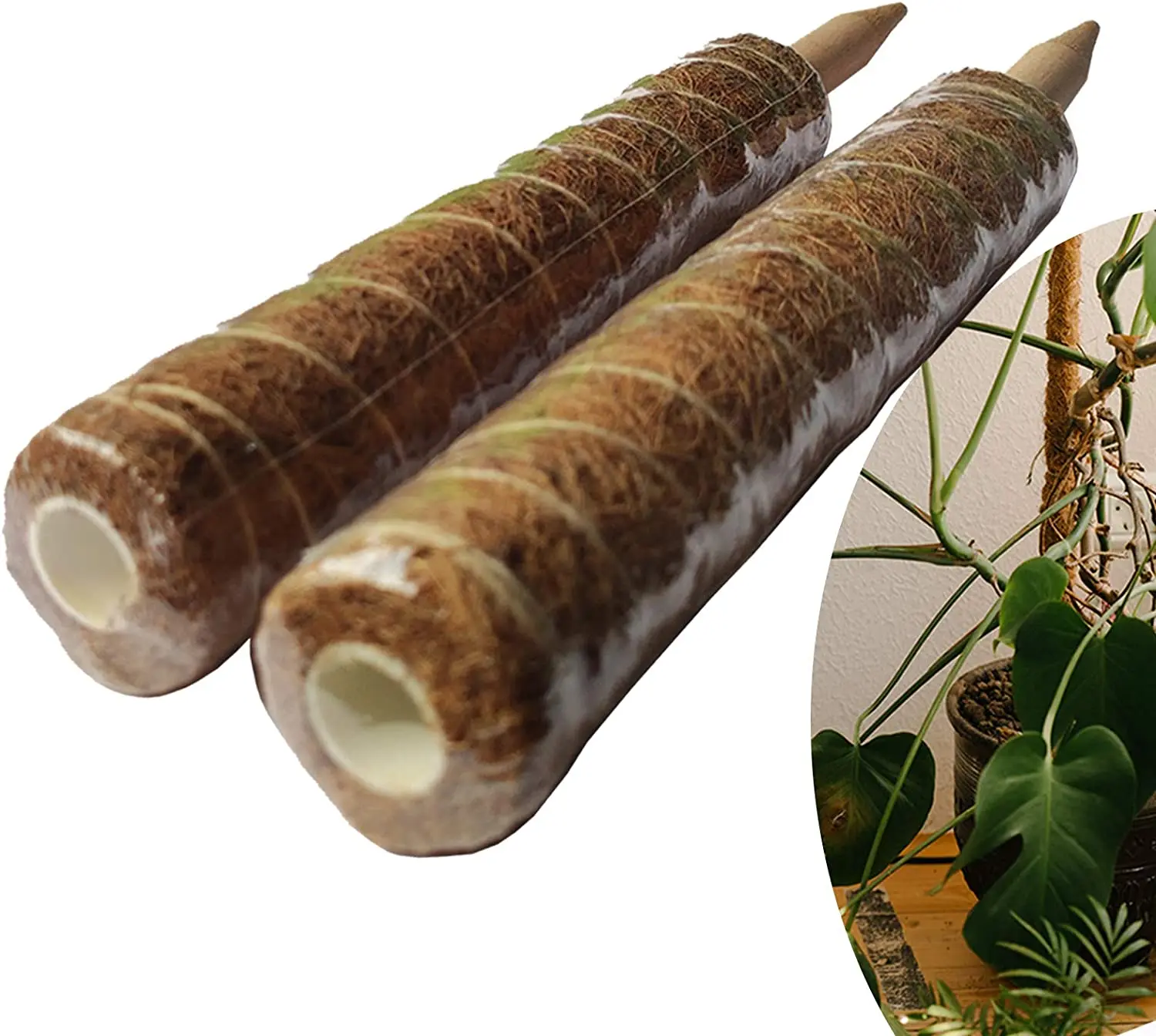 Hot Sale 12 Inch 16 19 Garden Plant Support Stakes Moss Pole