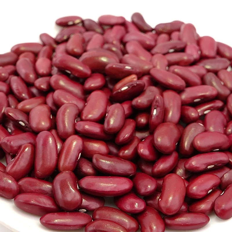 Высококачественная сушеная фасоль для продажи