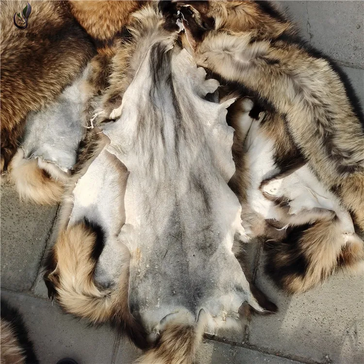 raccoon pelt (3).jpg