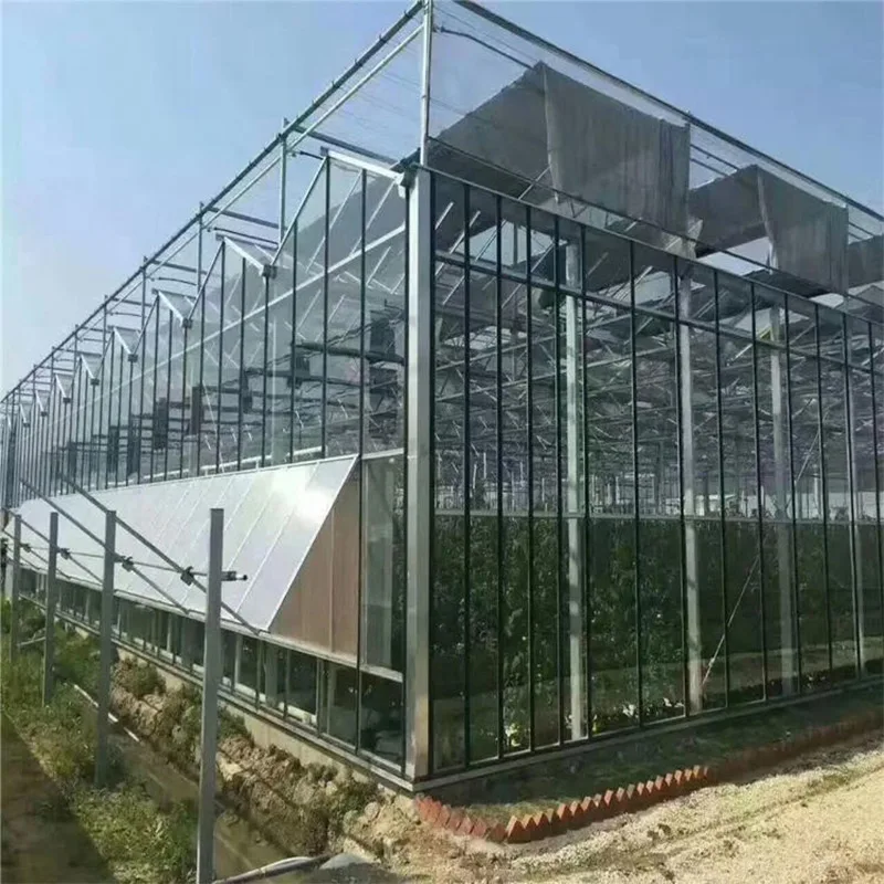 China Venlo Agriculture Multi Span Hydroponic Glass Greenhouse for Vegetables/Flowers/Tomato/Farm/Garden