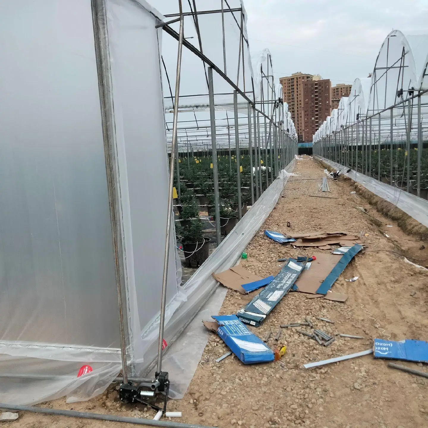 Agricultural Multi Span Plastic Po/PE Film Greenhouse for Vegetables with Cooling/Heating System