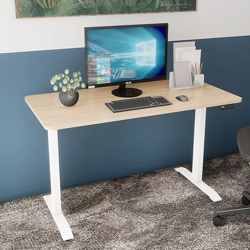 Contuo New Design Standing Desk Computer Desk Modern Home Office Furniture