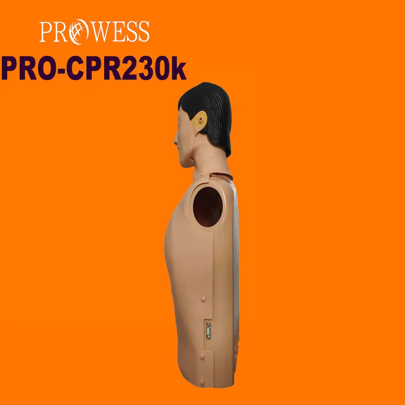 PRO-CPR230K Hot Sales Half Body CPR Training Manikin with Controller Emergency Training for Medical Teaching anatomical manikin